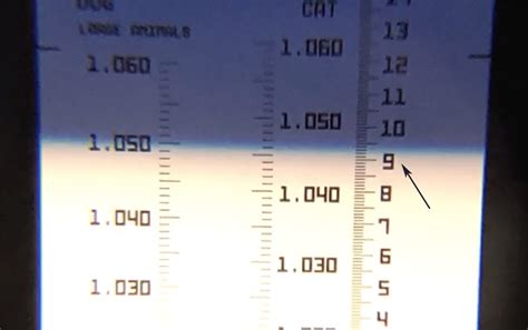 how to read total protein on a refractometer|total solids range for dogs.